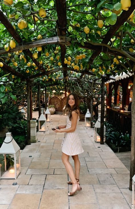 Fall Destinations, Camille Styles, Capri Italy, Boulder Colorado, Italy Vacation, Coffee Shops, Amalfi, Backyard Garden, Vegetable Garden