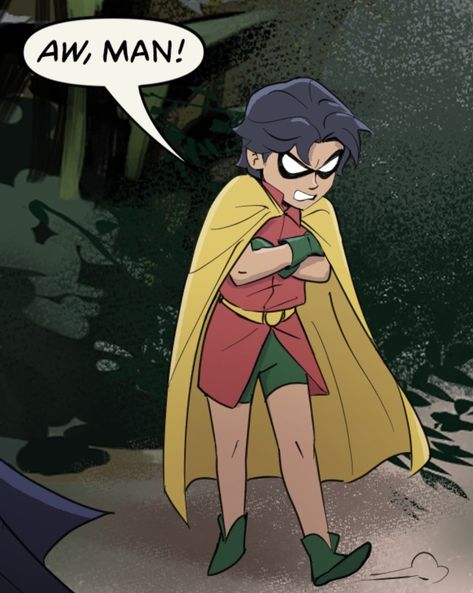 The Robins Bat Family, Reverse Robins, Wayne Family Adventures, Dc Comics Funny, Hiro Big Hero 6, Robin Comics, Robin Dc, Wayne Family, Univers Dc