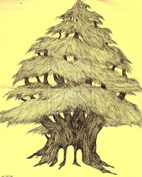 Lebanon Cedar, Cedar Garden, Garden Drawing, Cedar Trees, Tree Tattoo, Tree Drawing, Pilgrimage, Lion Sculpture, Tattoo Designs