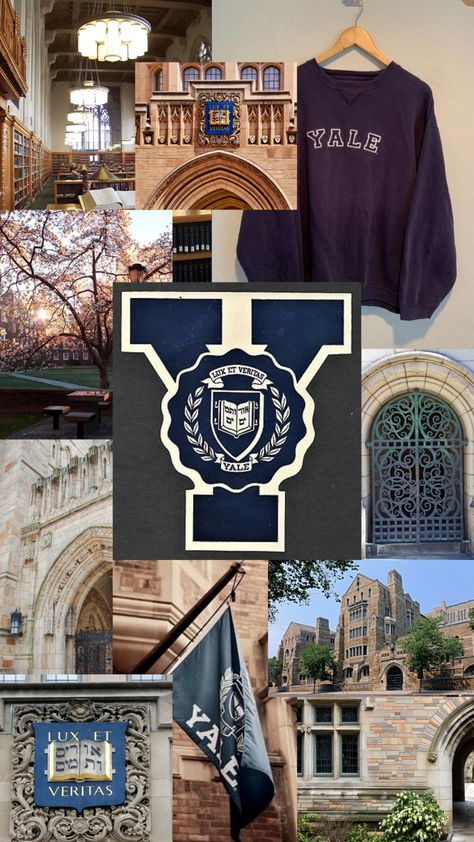 Yale College Aesthetic, Yale Vision Board, College Board Ideas, Yale Wallpaper Aesthetic, Ivy League Aesthetic Wallpaper, Yale University Wallpaper, Yale University Aesthetic Wallpaper, Harvard University Aesthetic Wallpaper, Ivy League Wallpaper