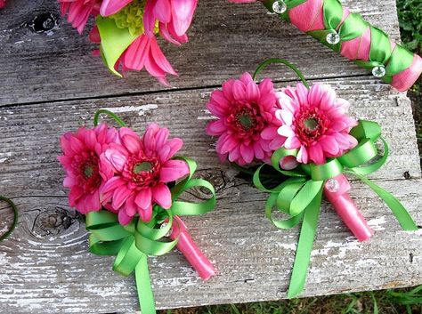 Hot Pink Mini Gerbera Daisy Corsages - I want to do this but in mini bouquets! With white daisies and green ribbon Daisy Boutonniere, Boutonniere Ideas, Gerber Daisy, Pink Daisies, Gerbera Daisies, Daisy Wedding, Gerber Daisies, Button Holes, Gerbera Daisy