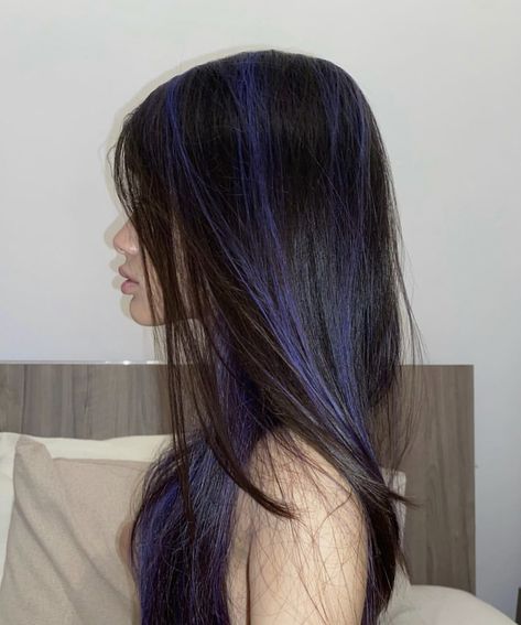 Hair Dye Ideas One Color, Sunk Hairstyles, Indigo Highlights Brown Hair, Coloured Hair Highlights, Dark Blue Underdye Hair, Midnight Blue And Purple Hair, Black Hair Colored Tips, Brown And Dyed Hair, Hairdye Ideas For Black Hair