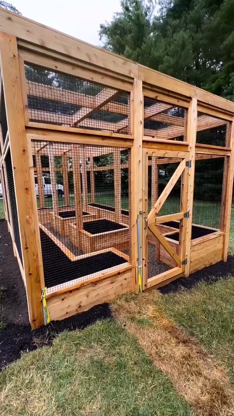 Fenced Vegetable Garden, Introducing Me, Cozy Garden, Backyard Greenhouse, Veg Garden, Greenhouse Gardening, Vegetable Garden Design, Backyard Garden Design, Summer Solstice