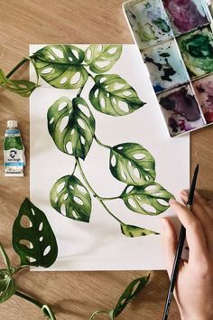 Plants Watercolor, Painting Leaves, Plant Poster, Monstera Adansonii, Swiss Cheese Plant, Leaves Art, Cheese Plant, Watercolor Plants, Watercolor Flower Art