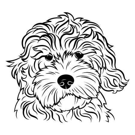 Golden Doodle Drawing Easy, Golden Doodle Painting Easy, Golden Doodle Black, Clothes Doodle, Mini Aussiedoodle, Paw Cartoon, Black White Illustration, Dog Line Drawing, Dog Instagram