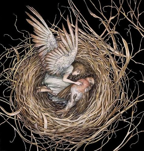 Adam Oehlers, Art Whimsical, Fairytale Art, Fantasy Fairy, Fairy Art, Bird Nest, Whimsical Art, Toad, 귀여운 동물