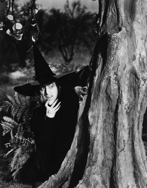 The Wicked Witch Of The West, Margaret Hamilton, Wizard Of Oz 1939, Wicked Witch Of The West, Witch Of The West, Glinda The Good Witch, Old Hollywood Movies, Old Hollywood Stars, The Good Witch