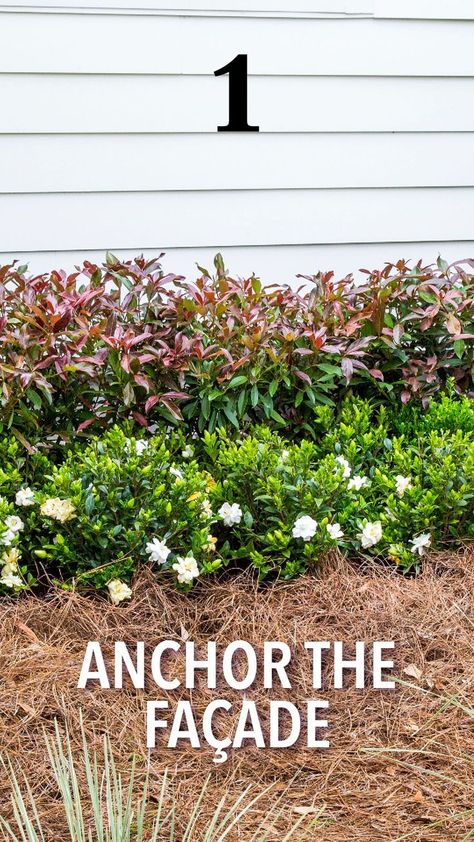 Simple Foundation Landscaping, Foundation Planting Plans, Foundation Planting Ideas Front Yards, Low Maintenance Landscape Ideas Front Yard, Ranch Landscaping Ideas Front Yard, Ranch Landscaping Ideas, Foundation Landscaping, Landscape Design Front Of House, Colonial Landscaping