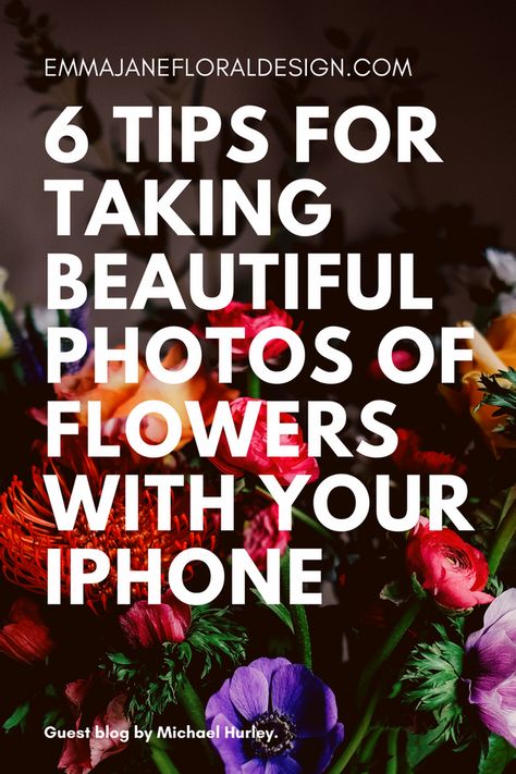 How To Take Pictures Of Flowers, How To Photograph Flowers, Photographing Flowers, Photos Of Flowers, Best Flower Pictures, Wildflower Photo, Take Better Photos, Floral Photography, Floral Photo