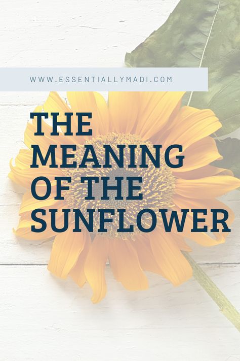 Sunflower Meaning In Love, Sunflower Poem Quotes, Sunflower Devotional, Sunflower Meaning Spiritual, You Are My Sunshine Quotes, Sunflowers Meaning, Sunflower Quotes Inspirational, Sunflower Sayings, Sunflower Meaning