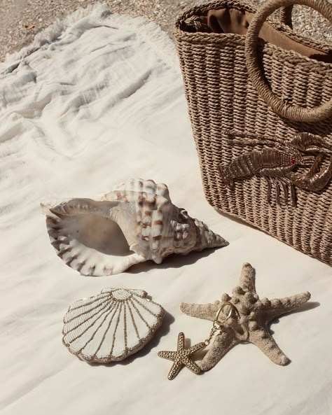 ”Where the sand meets the sea, and seashells tell stories.” 🐚 #paloma #fashion #beach #seashells #oceanlover #coastalliving Beach Flatlay, Jewelry Flatlay, Beach Seashells, Ocean Vibes, Beige Aesthetic, Summer Feeling, Jewelry Photography, Laura Lee, Beach Aesthetic