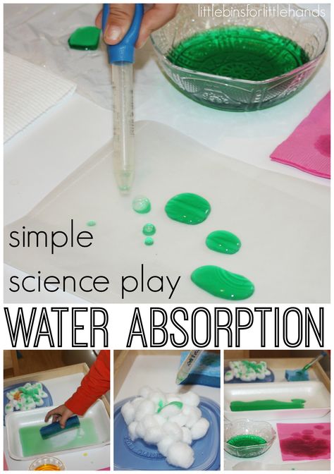 //  Water Absorption Science Experiment What absorbs water? What does not?   I love to do simple water science experiments with my little guy! Often our water experiments include color mixing or sinking/floating items. A long time ago, we played around with putting cotton balls in water and ... Water Experiments For Kids, Weather Activities Preschool, Water Science Experiments, Preschool Weather, Water Experiments, Weather Theme, Science Skills, Preschool Fine Motor, Kid Experiments