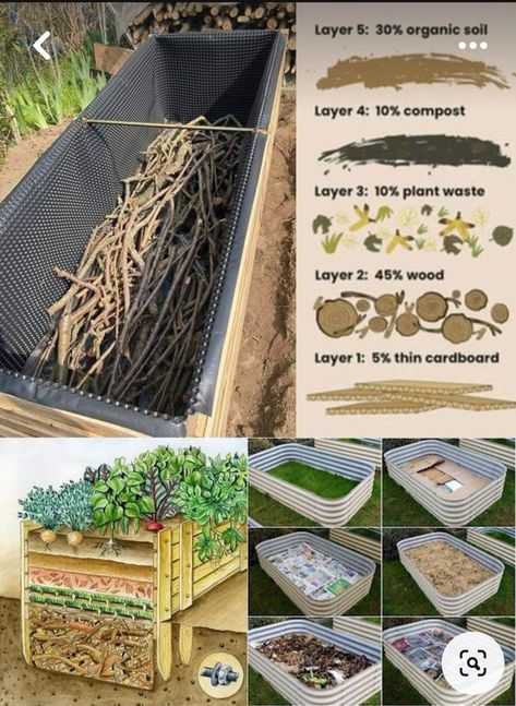 Bed Cheap, Garden Design Plans, Veg Garden, Home Vegetable Garden, Vegetable Garden Design, Garden Yard Ideas, Raised Bed, Garden Layout, Veggie Garden