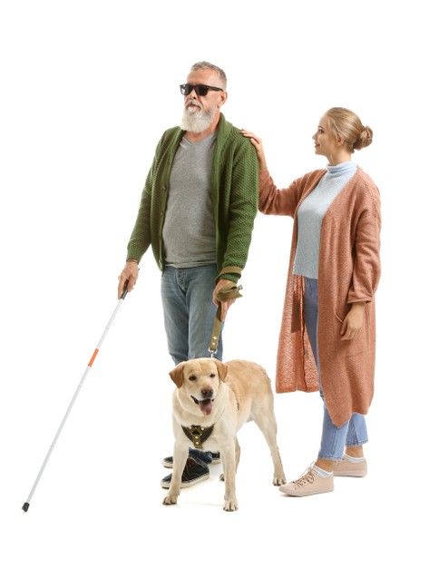 Man With Daughter, Collage Clippings, Person Png, Blind Person, Render People, People Cutout, Dog Man, People Png, Disabled People