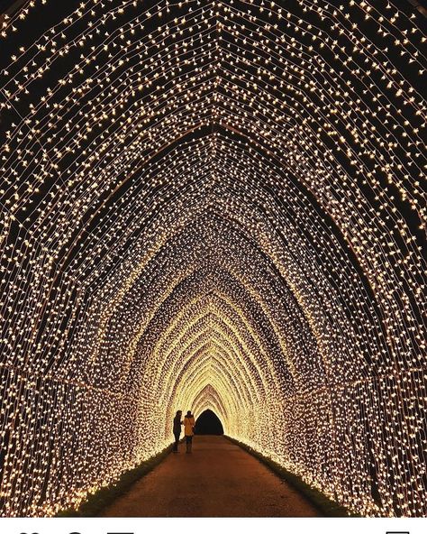 Enchanted Living on Instagram: “Tunnel of light at the Royal Botanic Garden in Edinburgh, Scotland! By @marthaagillespie” Edinburgh Christmas, Winter Bucket List, Wedding Entrance, Kew Gardens, Botanic Garden, Back Gardens, Wedding Lights, London Uk, Backyard Garden