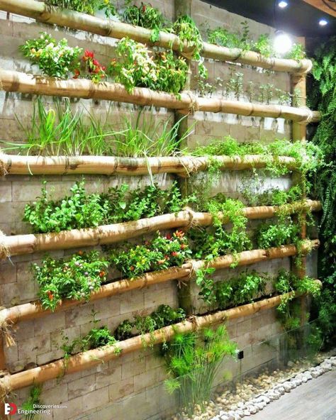 Bamboo Arbor, Creative Planters, Best Office Plants, Indoor Bamboo, Bamboo Diy, Creative Planter, Vertical Garden Indoor, Bamboo Planter, Bamboo Structure