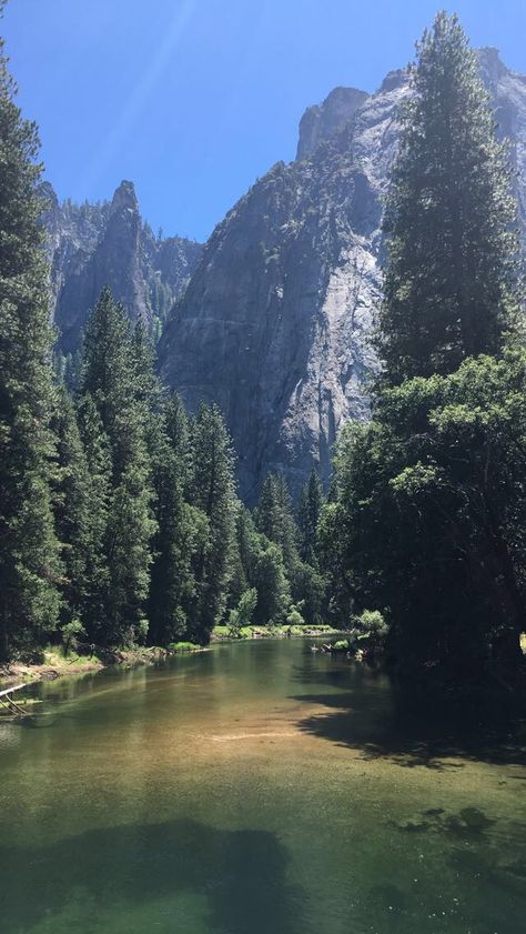 Serene Views Nature, California Nature Aesthetic, Yosemite Aesthetic, California Forest, California Nature, Yosemite California, California Mountains, Pretty Landscapes, Nature Aesthetic