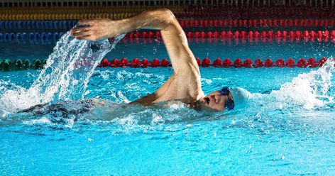 8 Simple Tips to Improve Your Freestyle Stroke #swimnetwork #improvefreestylestroke Breaststroke Swimming, Freestyle Swimming, Swimming Strokes, Swimming Benefits, Swimming Tips, Brain Boost, Brain Exercise, Improve Cognitive Function, Major Muscles