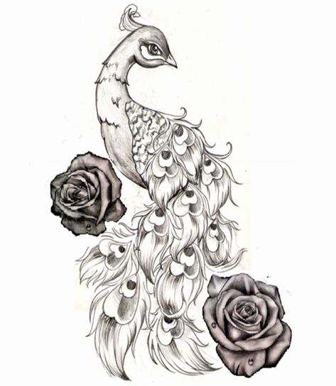 Peacock With Flowers, Peacock Drawing, Peacock Feather Tattoo, Peacock Tattoo, Peacock Art, Desenho Tattoo, Pencil Art Drawings, Bird Drawings, Tattoo Stencils