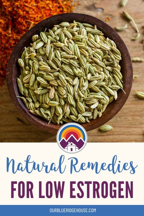 These natural remedies for low estrogen can help with hot flashes, hormonal imbalance, mood swings, and other menopause... Hormonal Imbalance Remedies, Hormone Herbs, Hormone Imbalance Remedies, Natural Estrogen, Estrogen Rich Foods, Estrogen Hormone, Healthy Lungs, Low Estrogen Symptoms, Low Estrogen