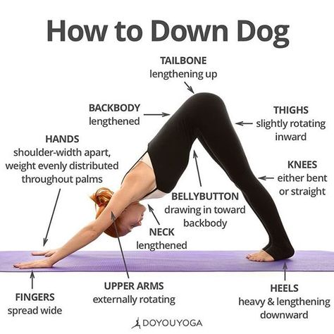 Adding more motion in your life adds more stimulation to the brain and body! Down dog is a great pose that can be strengthening rest and stretching.  Benefits of Down Dog from doyouyoga 1. Opens the Backs of the Legs 2. Elongates the Spine 3. Brings Awareness to Your Breathing 4. Strengthens and Opens the Chest 5. Strengthens the Arms #movemore #movementislife #spine #body #brainbody #balancedfamilychiropractic #sanfrancisco #chiropractor #healthylifestyle #health #yoga #pose #asana #stretch #st Beginner Pilates, Pilates Video, Yoga Beginners, Dog Yoga, Sup Yoga, Yoga Iyengar, Yoga Help, Outfit Yoga, Vie Motivation