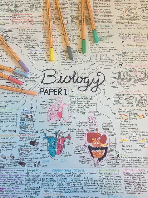 Mind maps galore 💕💕 Revision Mind Maps, Biology Mind Map Ideas, Mind Maps Aesthetic, Biology Mind Map, Form Aesthetic, Gcse Notes, Studying Ideas, Gcse Science Revision, Science Revision