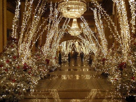 Christmas Lights ~ Ritz Carlton  New Orleans  photo: nolawildandprecious.com Wedding Tunnels, Prom Venues, Nola Trip, Aisle Ideas, New Orleans Christmas, Masquerade Prom, Entrance Lighting, Reception Entrance, Astoria Hotel