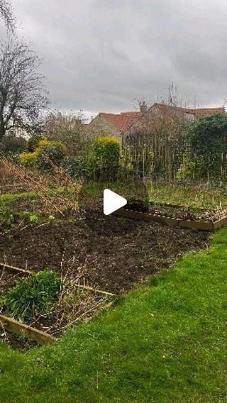 Healthy Herbs - Health Tips on Instagram: "Creating NO-DIG Growing beds 🌱 Great content by @nettlesandpetals. Follow him for more amazing content like this!  I’m in the process of converting an old unkept allotment into an organic no-dig vegetable garden and it’s finally time to create the main growing beds! And of course they are all going to be created utilising the ‘no-dig’ or ‘minimal disturbance’ methodology.  This old allotment space had been dug over year after year and the soil has sunk and degraded overtime. But by mulching instead of digging or tilling, we can mimic natural processes and start to rebuild that soil structure and allow the myriad of life within to thrive whilst creating a symbiotic relationship with the plants we then grow, increasing yields and boosting biodivers No Soil Gardening, Allotment Garden, Allotment Ideas, Allotment Gardening, Healthy Herbs, Natural Resources, How To Make Bed, Permaculture, Garden Beds