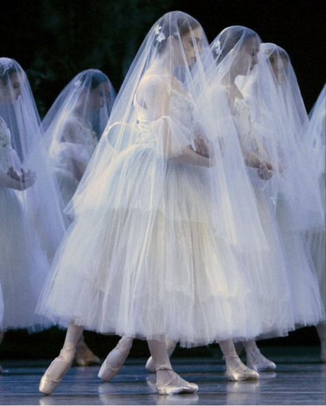 orfeu letícia on Twitter: "giselle translates my heart so entirely… " Ballet Veil, Ballet Giselle, Svetlana Zakharova, Ballet Russe, Anna Pavlova, Ballet Beauty, Ballet Poses, Ballet Inspiration, Tulle Skirts