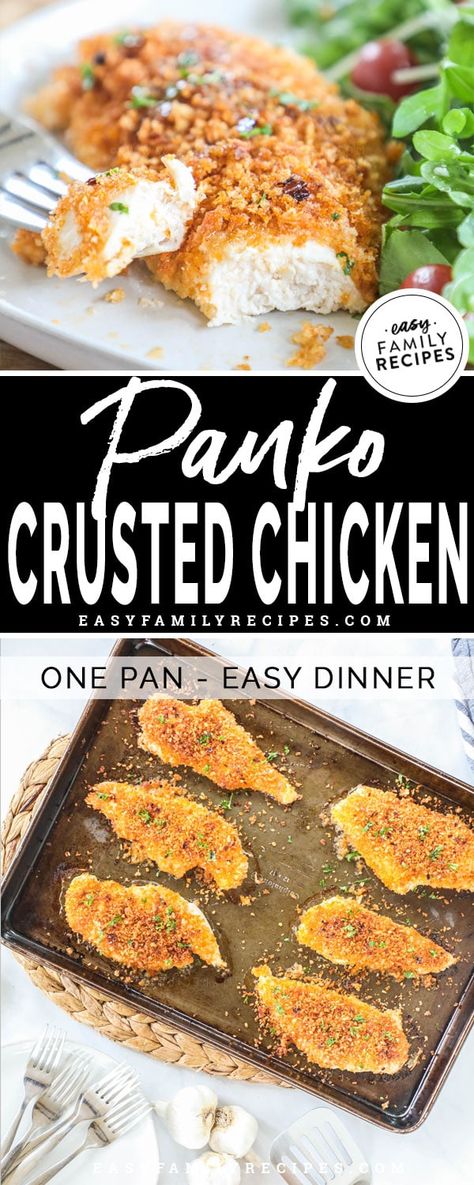 Baked Panko Chicken with Honey Drizzle · Easy Family Recipes Baked Chicken Recipes Panko, Breaded Chicken Recipes Panko, Healthy Family Meals Chicken, Easy Crusted Chicken, Best Panko Chicken, Best Chicken Breast Recipes For Dinner, Easy Baked Chicken Dinner Recipes, Honey Crusted Chicken, Baked Crusted Chicken Recipes