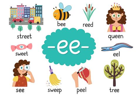 "Ee" words are the words for kids that contain "ee" at the beginning, middle or end. Make your child learn these words with the help of activities and help them improve their vocabulary. Preschool Preparation, Ee Words, Two Letter Words, Digraph Words, Phonics For Kids, Cvc Words Kindergarten, Phonics Posters, Learning Phonics, English Activities For Kids