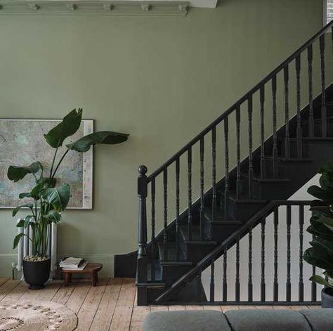 Green And Black Hallway Ideas, Black Stairs Green Wall, Dark Green Stairs And Landing, Green Hall Stairs And Landing, Lichen Green Farrow And Ball, Farrow And Ball Vert De Terre Kitchen, Hall Landing Ideas, Olive Hallway, Green Stairwell