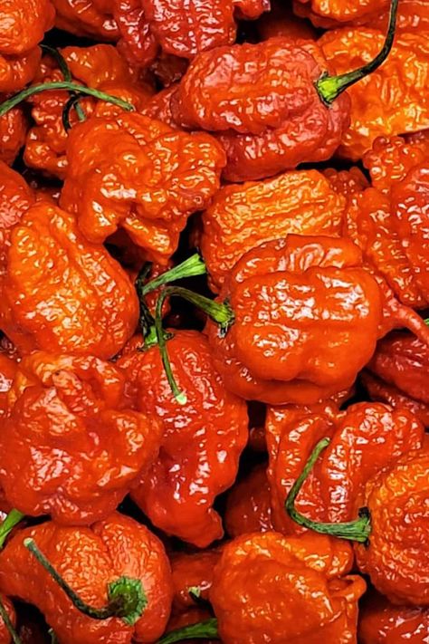 Dragon Breath Chili, Types Of Chili Peppers, 2023 List, Types Of Peppers, Chile Peppers, Ghost Peppers, Scandinavian Food, Hot Sauces, Chile Pepper