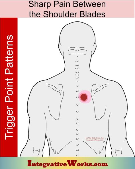 Sharp Pain Between the Shoulder Blades - Integrative Works Tattoo Between Shoulder Blades, Back Spasm Relief, Shoulder Blade Stretch, Muscle Spasms Relief, Forward Head Posture Exercises, Back Spasm, Neck And Shoulder Muscles, Shoulder Blade Tattoo, Forward Head Posture