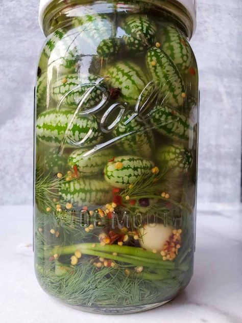 Essen, Pickle Recipes Refrigerator, Cucamelon Pickles, Easy Pickle Recipes, Easy Refrigerator Pickles, Easy Pickle, Pickle Recipes, Pickling Salt, Planting Calendar