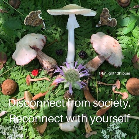 Self on Instagram: “Disconnect from society. Reconnect with yourself.” Society Pressure Art, I Live For Me Not For Society, Development Of Self In Society, Society Is Disgusting Journal, The Mysterious Benedict Society Book, Reconnect With Yourself, Mind Body Spirit, Inner Peace, Social Network