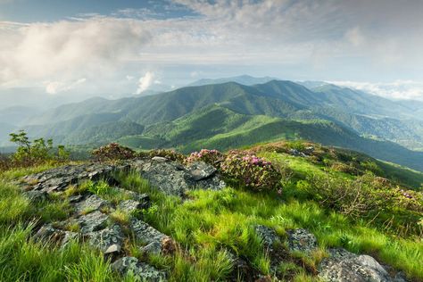 carvers gap roan mountain Hiking Usa, Spring Scenery, Types Of Hiking, Modern Mural, Thru Hiking, Appalachian Mountains, Destination Voyage, Appalachian Trail, Blue Ridge Mountains