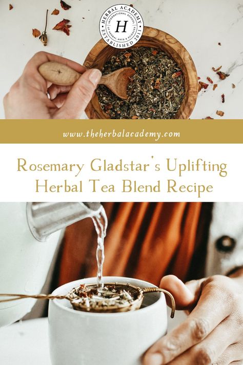 Herbalism Books, Herbal Knowledge, Healing Tea Recipes, Rosemary Gladstar, Living Naturally, Tea Blends Recipes, Herbal Academy, Herbal Tea Benefits, Rosemary Tea