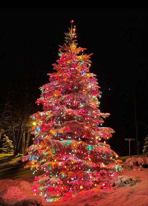 White Christmas Tree With Multicolored Lights, Colorful Christmas Lights Aesthetic, Christmas Decor Yard Decorations, Christmas Tree Ideas Natural, Outside Christmas Decor Yard Decorations, Wallpaper Laptop Christmas, Woodsy Christmas Decor, Rainbow Christmas Lights, Christmas Lights At Night