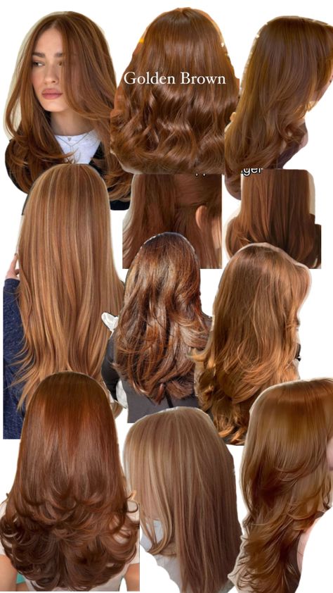 Tan Hair Color Skin, 7.3 Hair Color, Light Brown Skin Hair Color Ideas, Ion Demi Permanent Hair Color Chart, Color Hair For Brown Eyes, Copper Brown With Money Piece, Spring Color Palette Hair, Hair Colour For Green Eyes Pale Skin, Copper Brown Hair Asian