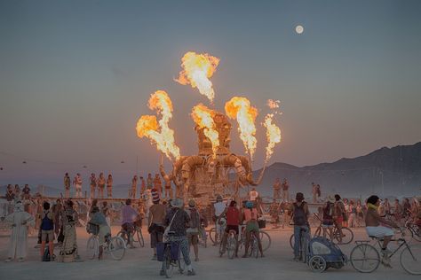 Burning Man, Festival