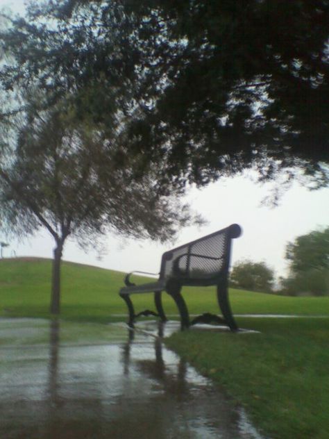 A photo I took at Steele park in downtown Phoenix. A rare rainy day, and it was beautiful. Rainy Park Aesthetic, Rainy Neighborhood Aesthetic, Rainy Path Aesthetic, Rain Nostalgia, Rainy Day In The Forest, Music Aesthetics, Downtown Phoenix, Regents Park, Stage Set