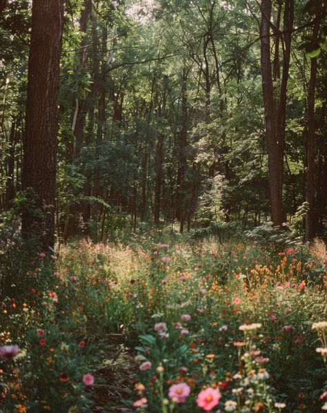 The Artists' Treehouse Hideout. Wake up here, paint wildflowers all day, and live out our own folklore Bonito, Forest With Flowers Aesthetic, Spring In The Woods, Cottage Forest Aesthetic, Vintage Outdoor Photography, Forest Living Aesthetic, Rustic Aesthetic Photography, Hideout Aesthetic, Nature Core Aesthetic