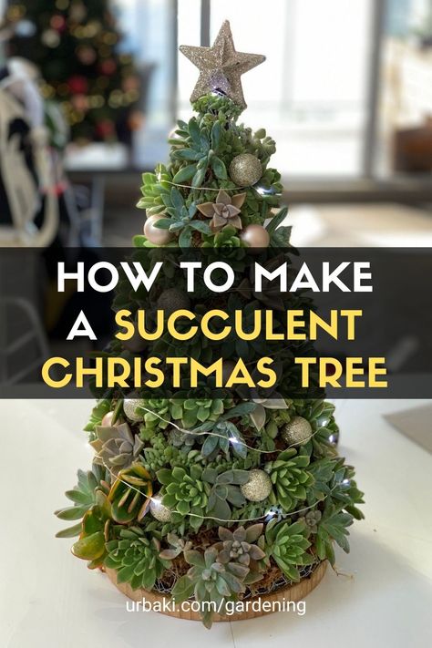 Succulent Arrangements Christmas, Christmas Tree Succulents, Christmas House Plants Decorating Ideas, Christmas Tree Succulents Diy, Succulents Christmas Tree, Succulent Christmas Tree Diy How To Make, Succulent Tree Christmas, Succulent Xmas Tree, Christmas Plant Decorations