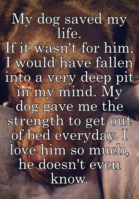 "My dog saved my life. If it wasn't for him, I would have fallen into a very deep pit in my mind. My dog gave me the strength to get out of bed everyday. I love him so much, he doesn't even know." My Dog Saved My Life Quotes, My Dogs Are My Life Quotes, Dog Saved Me Quotes, My Dog Saved Me Quotes, Deep Dog Quotes, Quotes Dogs Love, My Dog Is My Best Friend, To My Dog Quotes, Me And My Dog Quotes