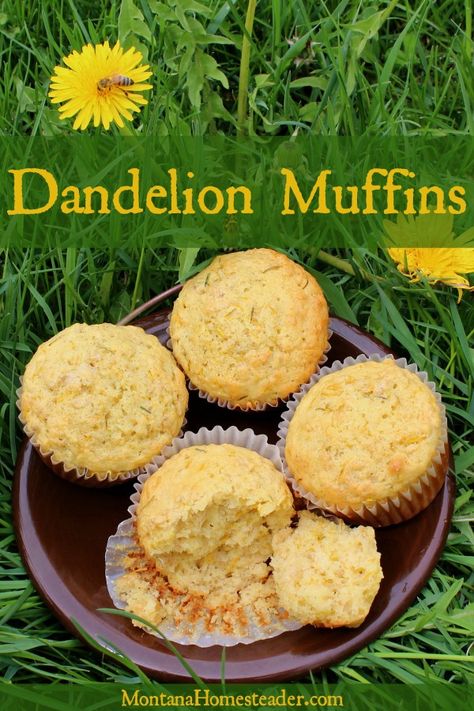 Dandelion Muffin Recipes, Dandelion Leaves Recipe, Dandelions Recipe, Dandelion Cupcakes, Dandelion Food, Dandelion Muffins, Cup4cup Recipes, Litha Recipes, Tea Jelly