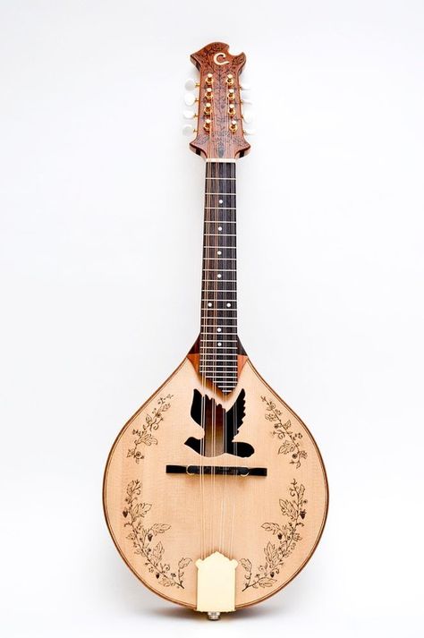 Ukelele, Making Music, String Instruments, Mandolin, Music Room, Sound Of Music, Musical Instrument, Banjo, Music Stuff