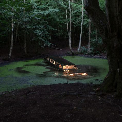 Lost Aethstetic, Forest Cryptid Aesthetic, Swamp Monster Aesthetic, Spooky Swamp Aesthetic, Creepy Camping Aesthetic, Redlipstick Resurrected, Swamp At Night, Creepy Midwest Aesthetic, Small Town Mystery