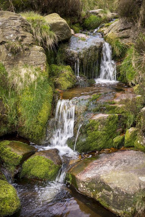 Rocks In Nature, Backyard Ponds And Waterfalls, Stream Nature, Ponds Ideas, Forest With Stream, Streams In The Desert, Creative Backyard, Islands In The Stream, Rocky Landscape