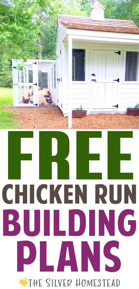 a white shiplap chicken coop with a cedar wood roof and white chicken run with text that reads free chicken run building plans Chicken Coop Without Run, Enclosed Chicken Run, Walk In Chicken Run Plans, Pallet Chicken Run, Chicken Run Activities, Walk In Chicken Coop With Run, Chicken Coop With Attached Run, Chicken Run Plans, Diy Chicken Run Cheap